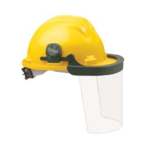 Safety helmet face shield